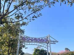 -盈香心动乐园