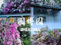-深圳国际园林花卉博览园