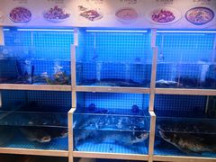-聚丰园•湖鲜餐厅(阿红私房菜梅石路店)
