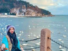 -烟墩角天鹅湖