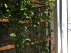 -罗莎蛋糕(奥山府店)