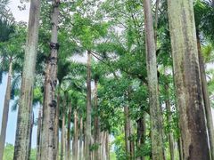 -燕晗山郊野公园