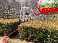 -廊坊固安福朋喜来登酒店