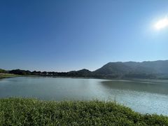 -风云岭森林公园