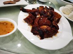 烧鹅-姚林轩