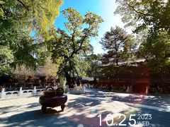-潭柘寺景区