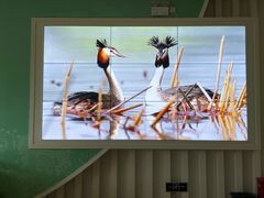 -延庆地质公园博物馆