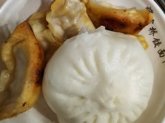 竹笋肉锅贴-蒋家桥饺面店(东关街店)
