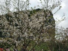 -南溪山景区