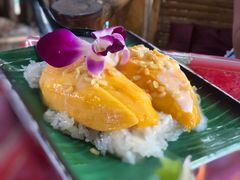 -Jungle Kitchen