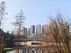 -重庆彩云湖湿地公园