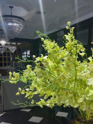 -鼎极摄影(世纪金源店)