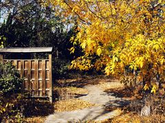 -济南国际园博园