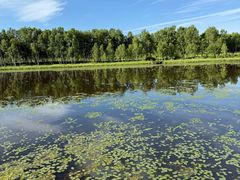 -塞罕坝国家级自然保护区