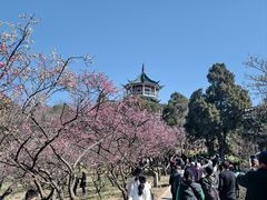 -无锡梅园公园