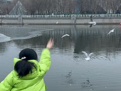 -海河游船-永乐码头(大悲院)