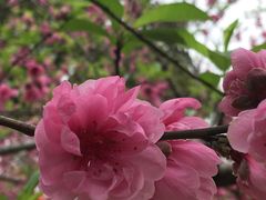 -船政文化景区-罗星塔公园