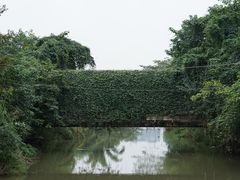 -白鹭湾湿地公园