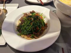 香菜摔打黄牛肉-桂满陇·杭州饭店(清河万象店)