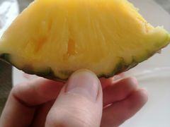 -视界美食自助餐厅·石家庄希尔顿酒店