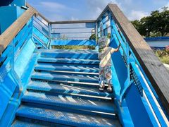 -上海吴淞炮台湾国家湿地公园