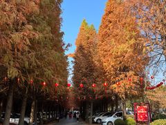 -捞渔河湿地公园