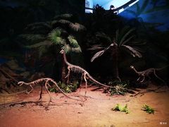 -自贡恐龙博物馆