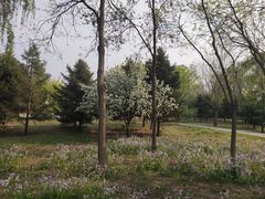-东疆建设开发纪念公园