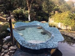 -明月山天沐温泉度假村