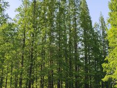 -崂山九水游览区