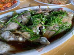 -深圳海钓·深圳钓鱼·拓展聚会鱼排