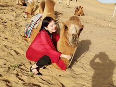 -亿利库布其七星湖沙漠生态旅游区