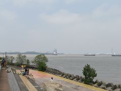 -上海滨江森林公园