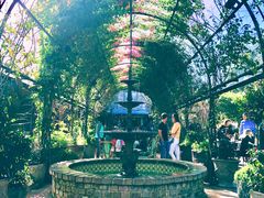 -The Grounds of Alexandria
