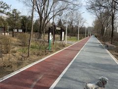 -绿堤公园