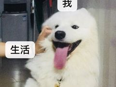 -黄金海岸水上乐园