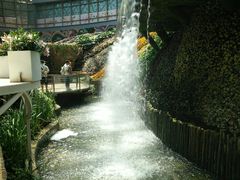 -昆明花之城豪生酒店·美食广场