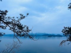 -千岛湖东南湖区