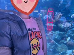 -海合安成都极地海洋公园