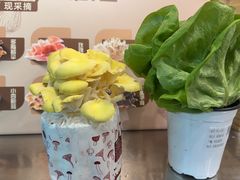 -烹然四季椰子鸡火锅(团结湖总店)