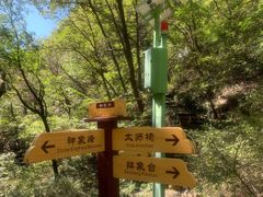 -老象峰