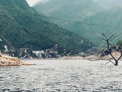 -千峡湖生态旅游度假区