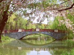 -自然谷恐龙园