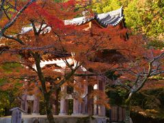 -醍醐寺