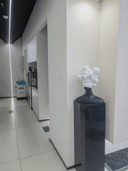 -FINE HAIR 烫染专业设计