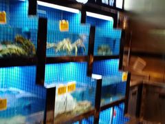 -徽三说·土徽菜·中国徽菜连锁品牌(一中店)