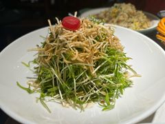 空心菜苗-打酱油·非遗淮扬菜(瘦西湖梅岭店)