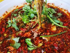 -胖大姐黄辣丁鱼庄(新津店)