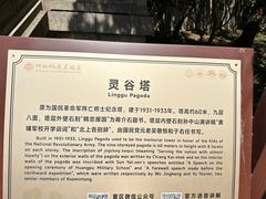 -灵谷景区