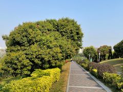 -立新湖公园